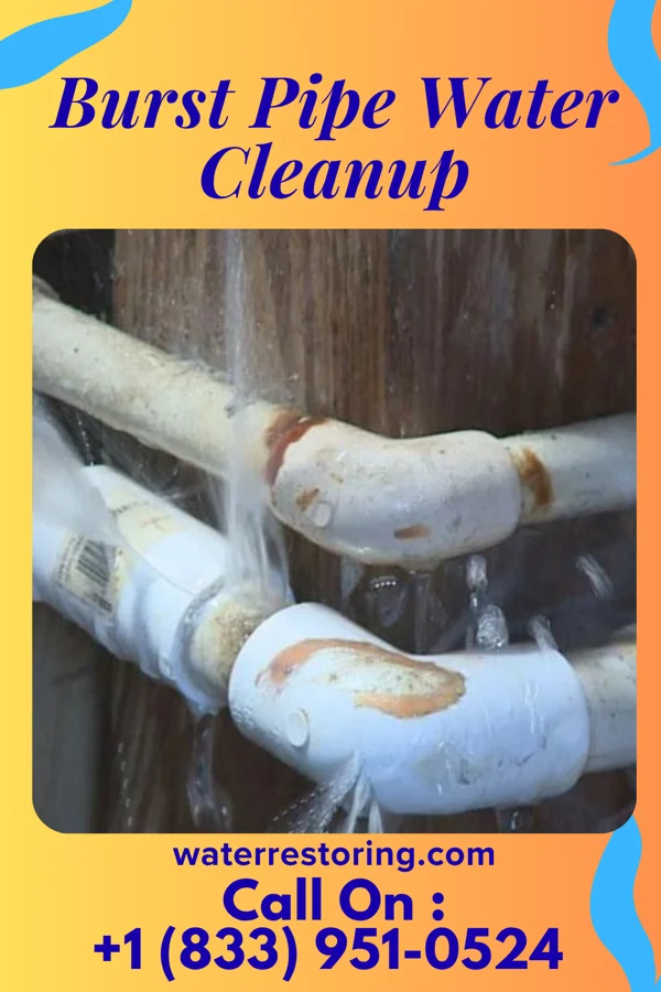 Burst Pipe Water Cleanup in Bantry, ND