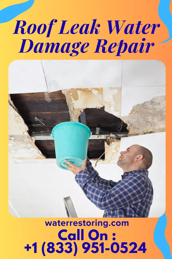 Roof Leak Water Damage Repair in Bantry, ND